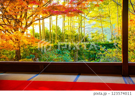 【京都風景】宝泉院　夕暮れ間近の紅葉に染まる庭園 123574011