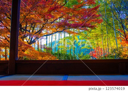 【京都風景】宝泉院 夕暮れ間近の紅葉に染まる庭園 【京都風景】宝泉院 夕暮れ間近の紅葉に染まる庭園 123574019