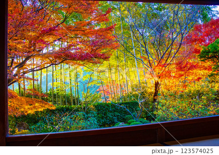 【京都風景】宝泉院　夕暮れ間近の紅葉に染まる庭園 123574025