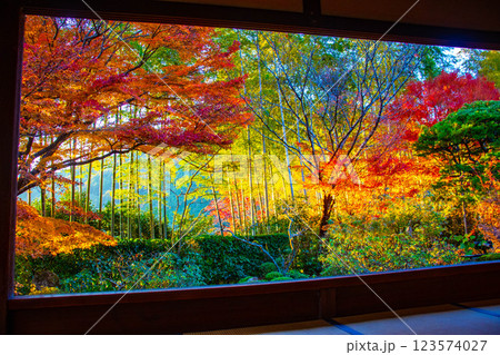 【京都風景】宝泉院　夕暮れ間近の紅葉に染まる庭園 123574027