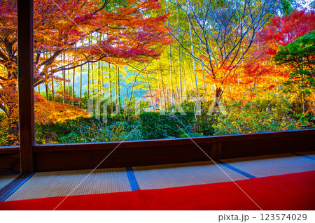 【京都風景】宝泉院　夕暮れ間近の紅葉に染まる庭園 123574029