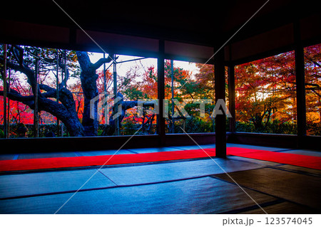 【京都風景】宝泉院　夕暮れ間近の紅葉に染まる庭園 123574045