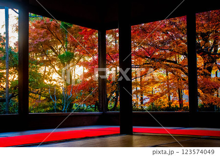 【京都風景】宝泉院　夕暮れ間近の紅葉に染まる庭園 123574049