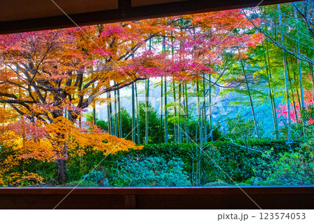 【京都風景】宝泉院 夕暮れ間近の紅葉に染まる庭園 【京都風景】宝泉院 夕暮れ間近の紅葉に染まる庭園 123574053