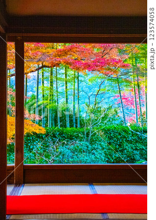 【京都風景】宝泉院　夕暮れ間近の紅葉に染まる庭園 123574058