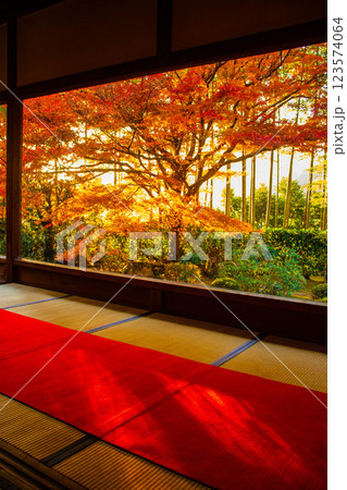 【京都風景】宝泉院 夕暮れ間近の紅葉に染まる庭園 【京都風景】宝泉院 夕暮れ間近の紅葉に染まる庭園 123574064