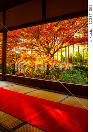 【京都風景】宝泉院　夕暮れ間近の紅葉に染まる庭園 123574065