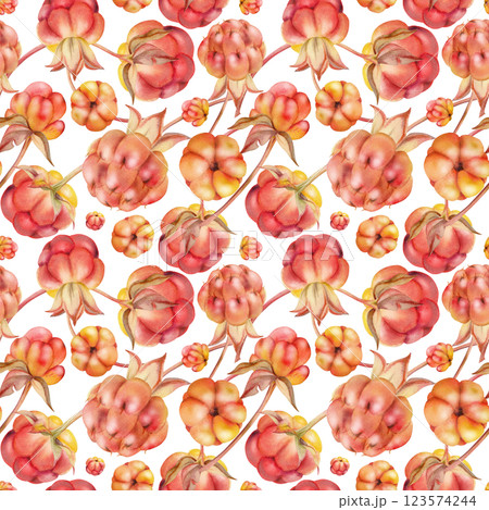 Cloudberry raspberry sloe fruit on receptacle stalk with leaves petals, watercolor hand drawn, red ripe forest berry dewberry boysenberry mulberry loganberry. Botanical seamless pattern illustration 123574244