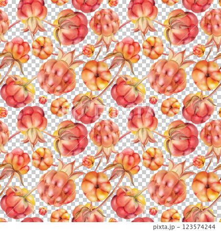 Cloudberry raspberry sloe fruit on receptacle stalk with leaves petals, watercolor hand drawn, red ripe forest berry dewberry boysenberry mulberry loganberry. Botanical seamless pattern illustration 123574244