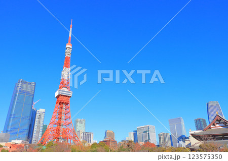 東京都港区、東京タワーの風景 東京都港区、東京タワーの風景 123575350