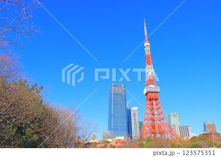 東京都港区、東京タワーの風景 東京都港区、東京タワーの風景 123575351