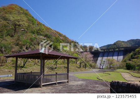 兵庫県南あわじ市 桜の咲く大日ダム公園 兵庫県南あわじ市 桜の咲く大日ダム公園 123575455