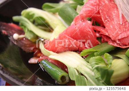 korean bulgogi korean bulgogi 123575648