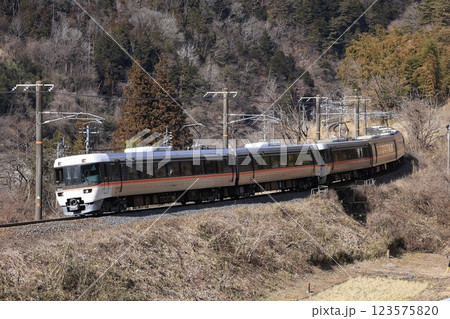 【JR東海】383系 特急「しなの」（中央本線：倉本〜須原） 123575820
