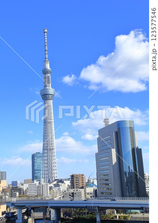 東京都 墨田区役所と東京スカイツリー 東京都 墨田区役所と東京スカイツリー 123577546