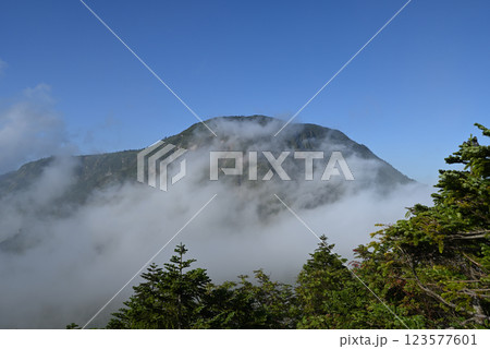苗場山、登山、新潟県 123577601
