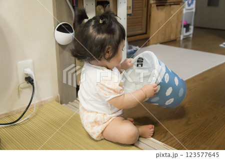 【ゴミ箱をいたずらするツインテールの赤ちゃん】 【ゴミ箱をいたずらするツインテールの赤ちゃん】 123577645