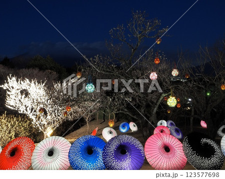 静岡県 和傘と和燈籠のライトアップ 2月 静岡県 和傘と和燈籠のライトアップ 2月 123577698