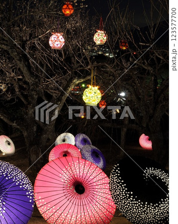 静岡県　和傘と和燈籠のライトアップ　2月 123577700