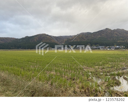 新潟県 関川村 新潟県 関川村 123578202