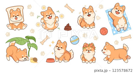 Cute shiba inu puppy characters. Kawaii fluffy dog, funny japanese breed pet, different animal activities, playful grooming mascot, cartoon flat style isolated tidy vector stickers set 123578672