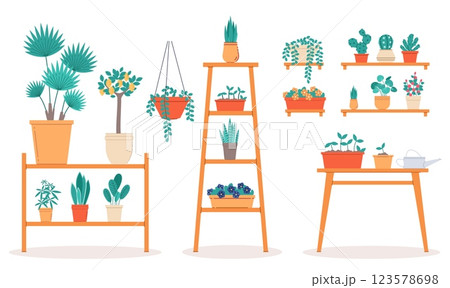 Houseplants stand shelves and tables. Different types houseplants. Indoor trees and palms. Monstera and cactus. Succulents and tropical flora. Cartoon flat style isolated vector concept 123578698