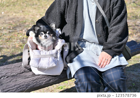 愛犬と散歩　ベンチに座る女性とバッグに入るチワワ 123578736