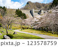 桜とダムの風景 123578759