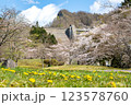 タンポポと桜が咲くダム公園の暖かな風景 123578760