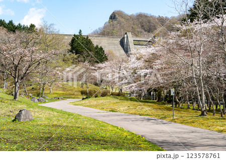春のダム公園の風景 123578761