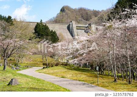 春のダム公園の暖かな風景 123578762