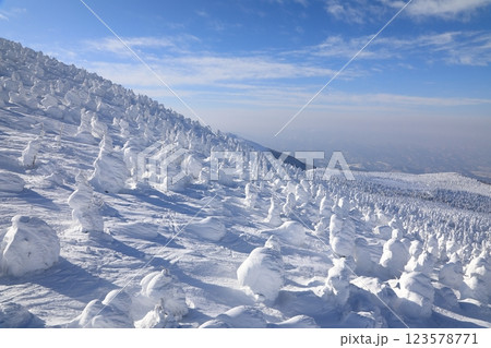 蔵王の樹氷 ( 山形県 山形市 ) 123578771