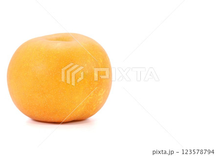 幸水梨 ナシ 福島県産 明るい背景 丸ごと1個 幸水梨 ナシ 福島県産 明るい背景 丸ごと1個 123578794