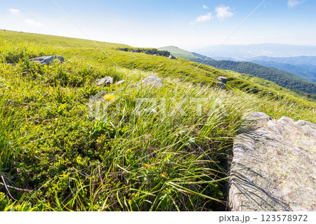 landscape with sandstone rocks on the grassy meadow. outdoor adventure. alpine scenery of ukraine in summer. smooth mountain in morning light. beautiful view of wide open vista landscape with sandstone rocks on the grassy meadow. outdoor adventure. alpine scenery of ukraine in summer. smooth mountain in morning light. beautiful view of wide open vista 123578972