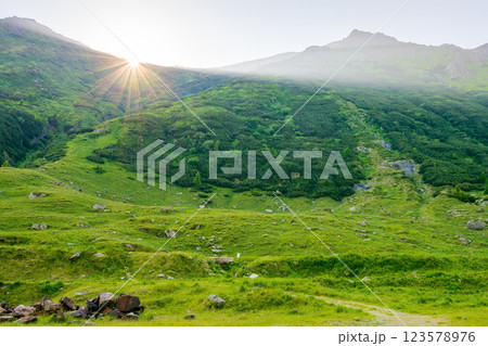 mountain landscape at sunrise in summer. high altitude. scenery with green valley of fagaras ridge in morning light. travel romania. natural environment 123578976