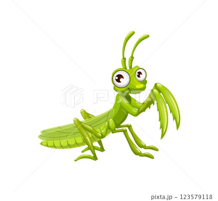 Cartoon funny googly mantis insect character for kids mascot, vector little creature. Cartoon green mantis with funny face and goggle eyes, small insect or cute cheerful bug from meadow or wild forest Cartoon funny googly mantis insect character for kids mascot, vector little creature. Cartoon green mantis with funny face and goggle eyes, small insect or cute cheerful bug from meadow or wild forest 123579118