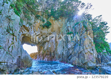 高知県土佐清水市足摺岬の天然記念物 白山洞門(はくさんどうもん) 123579220
