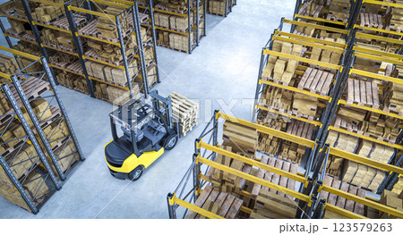Forklift carrying wooden pallets in large distribution warehouse 123579263