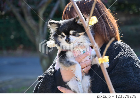 愛犬のSNS映え写真と撮ろうと奮闘する飼い主の女性 123579279