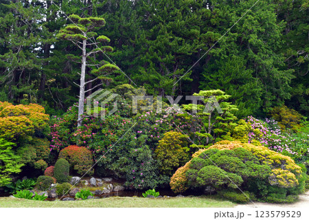 高野山　金剛峯寺の中庭 123579529