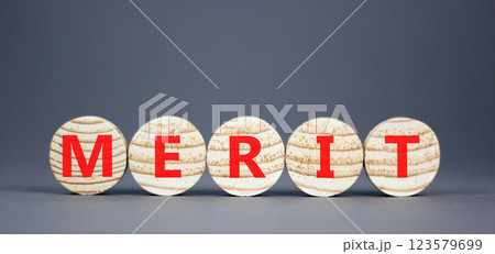 Merit symbol. Concept word Merit on beautiful wooden circles. Beautiful grey table grey background. Business lifestyle merit concept. Copy space. 123579699