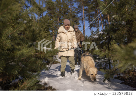 Senior woman walking a Golden Retriever in a snowy pine forest on a sunny winter day, enjoying nature and outdoor activity. Senior woman walking a Golden Retriever in a snowy pine forest on a sunny winter day, enjoying nature and outdoor activity. 123579818