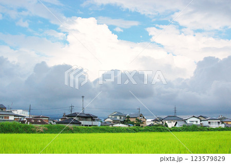 空と雲と田園 空と雲と田園 123579829