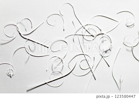 紙の端切れ 123580447