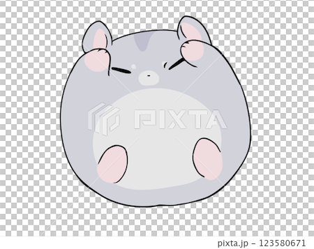 圓形剛果倉鼠 圓形剛果倉鼠 123580671