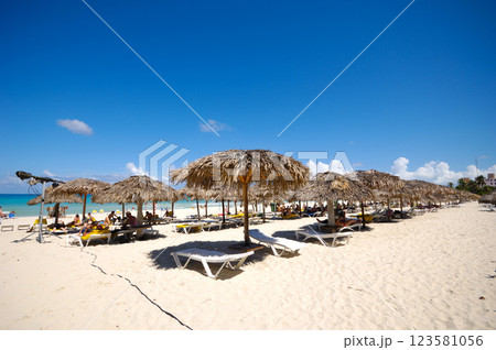 Beach with parasols and sunbeds 123581056