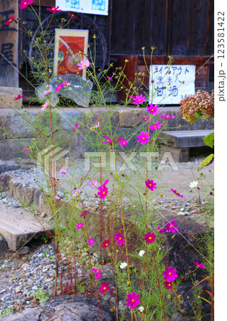 大内宿　宿場町　福島観光　大内宿町並み展示館　大内宿見晴台　江戸時代の宿場町　高倉神社 一之鳥居　 123581422