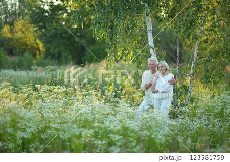 Loving mature couple in the park in summer 123581759