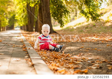 One-year-old baby playing with natural materials leaves and twigs in a warm autumn forest One-year-old baby playing with natural materials leaves and twigs in a warm autumn forest 123582393