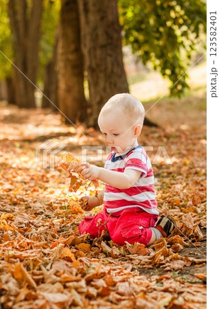 One-year-old little boy exploring the world in an autumn forest 123582401